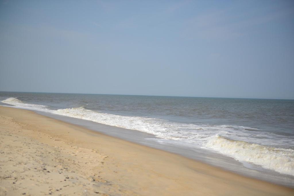 شاطئ ديوي Beach House Dewey المظهر الخارجي الصورة